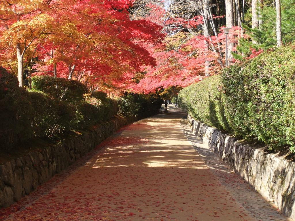 Koyasan Shukubo Jokiin Hotel Buitenkant foto